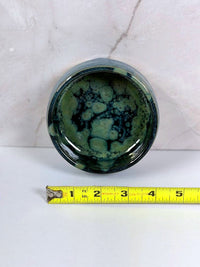 Reptile Dish - Olive Float