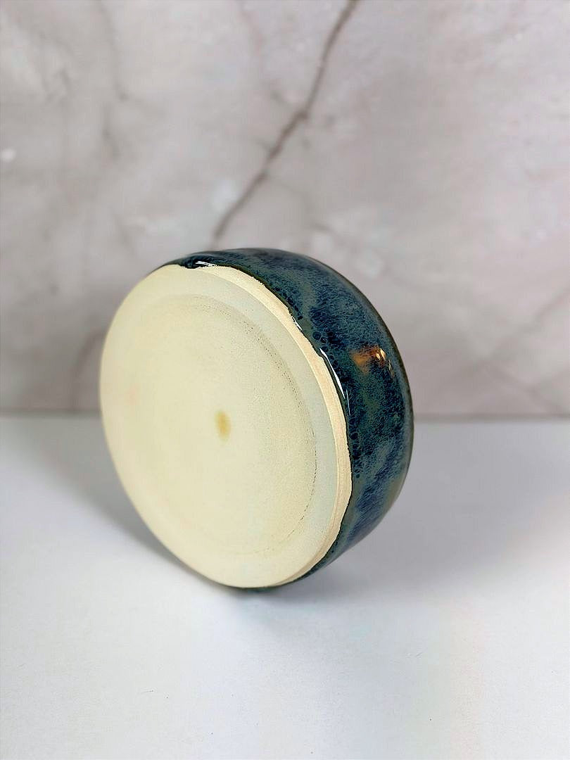 Reptile Dish - Olive Float